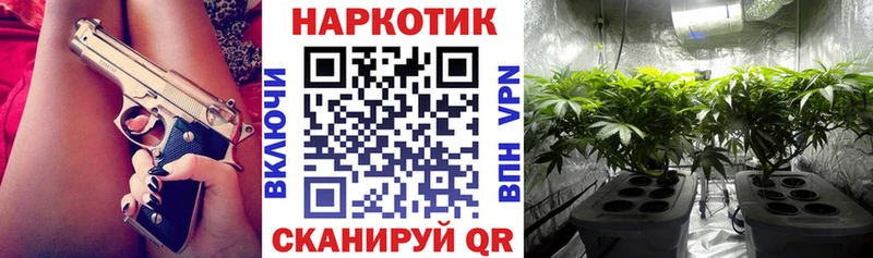 Купить наркотики цена Асино КЕТАМИН  Меф мяу мяу  Конопля  кракен как войти  A PVP  КОКАИН 
