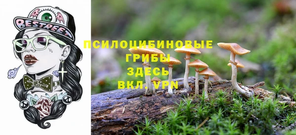мдпв Новодвинск