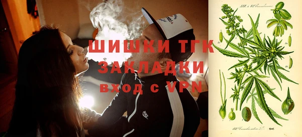 гидропоника Новозыбков