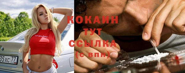 мдпв Новодвинск