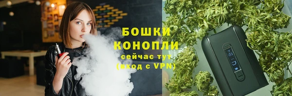 мдпв Новодвинск